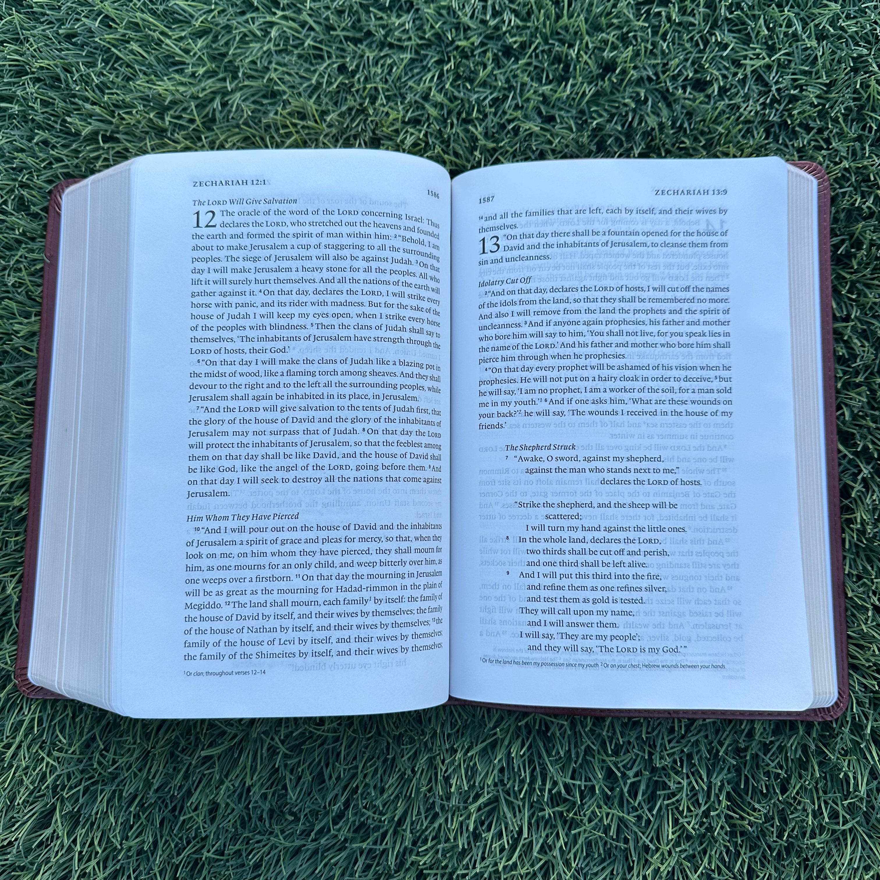 Strength and Dignity